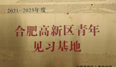 合肥金年会获批建立合肥高新区青年见习基地